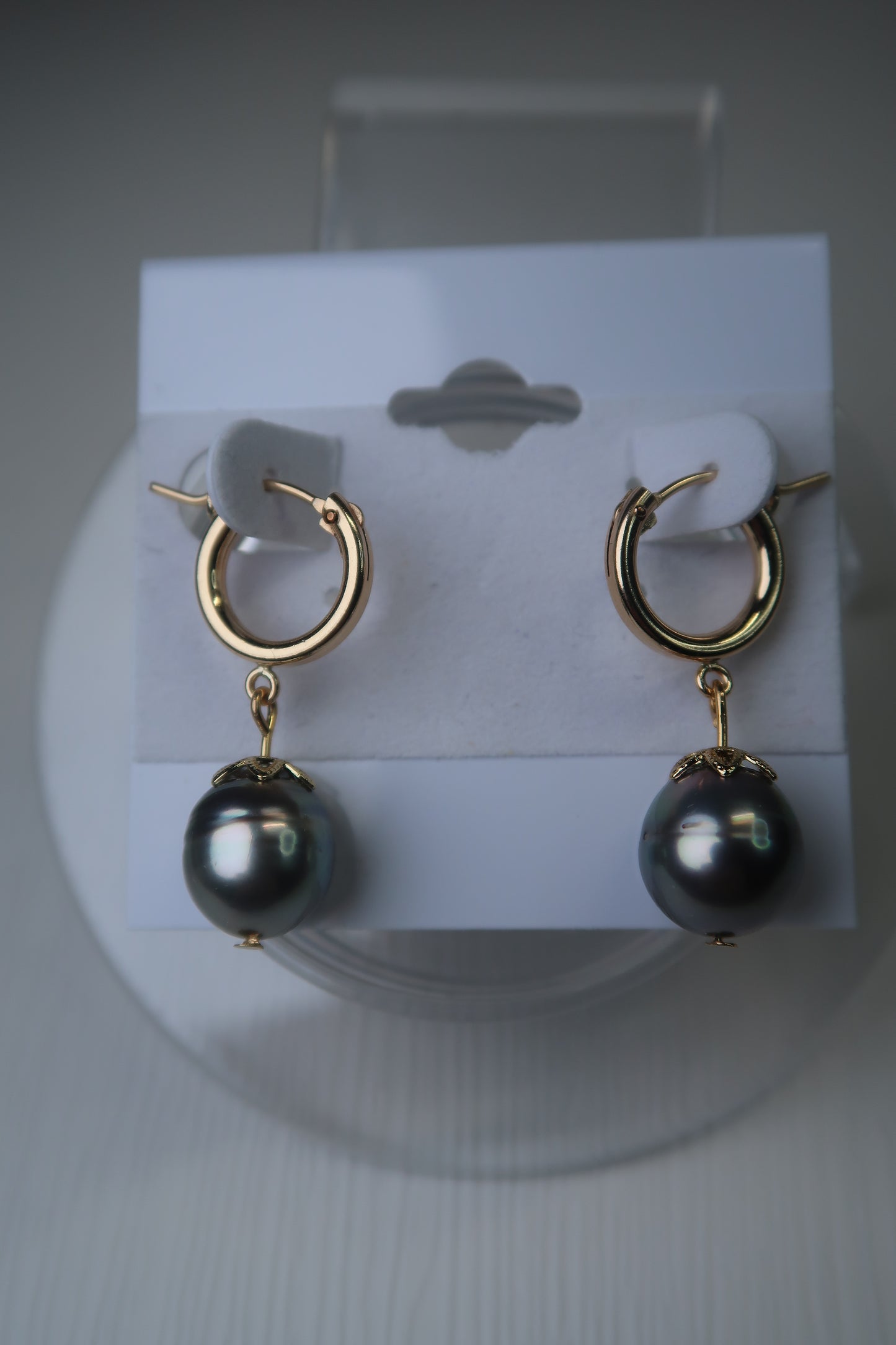 Tahitian Pearl Gold Filled Hoops