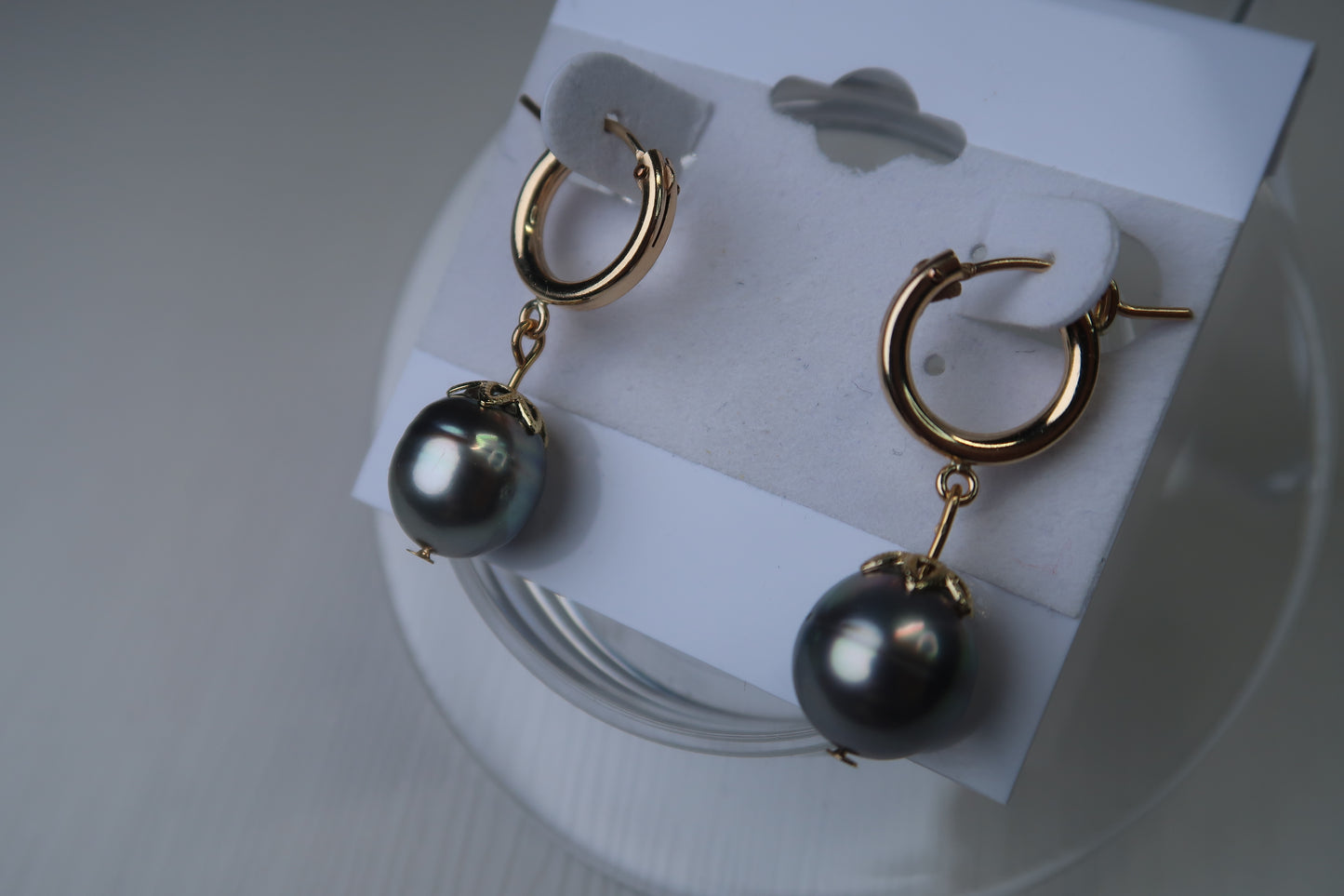Tahitian Pearl Gold Filled Hoops