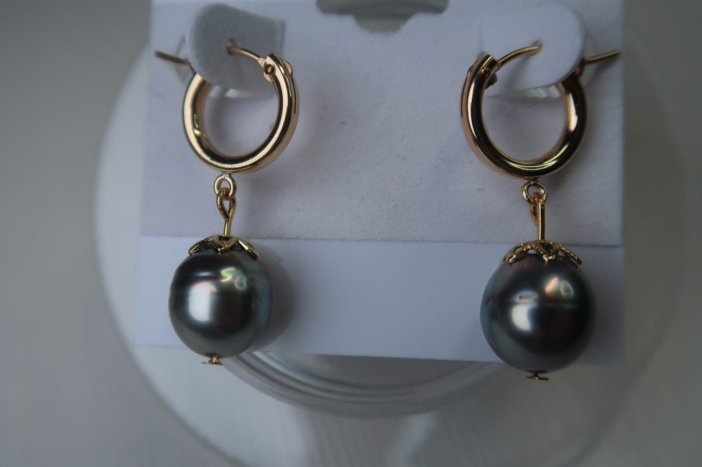 Tahitian Pearl Gold Filled Hoops